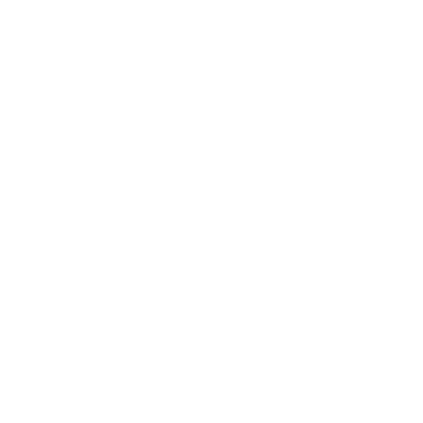 The Asunción Times