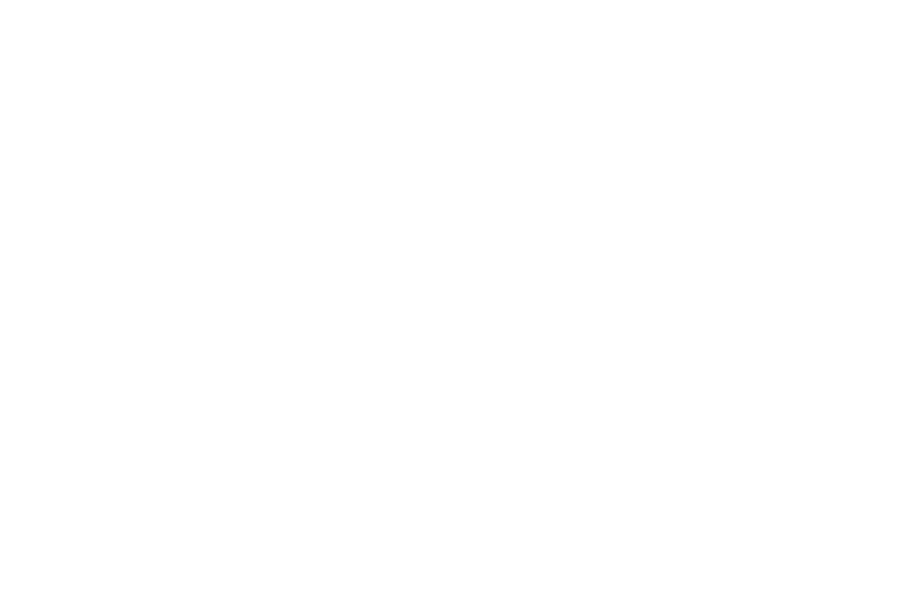 X4T